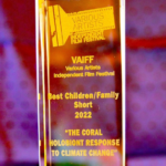 VAiFF award