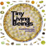 tiny living beings: podcast by Julia Van Etten