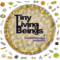 tiny living beings: podcast by Julia Van Etten