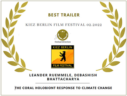 Berlin-KIEZ-2022-Best-Trailer